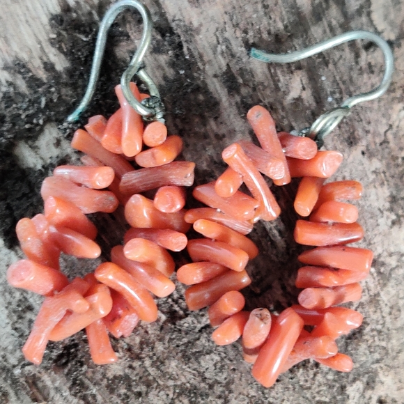 Vintage Red Branch Coral Necklace and Earrings Set - Picture 15 of 16